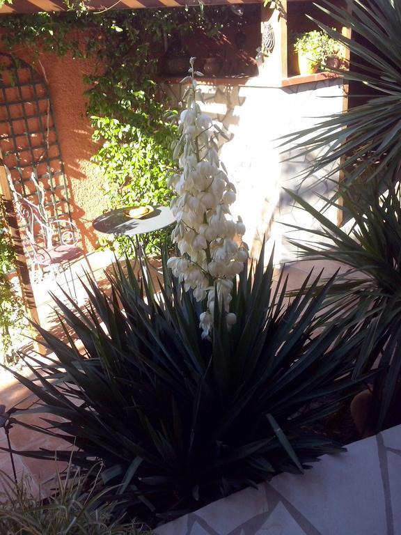 La Gentoliere Bed and Breakfast Pollestres Exterior foto