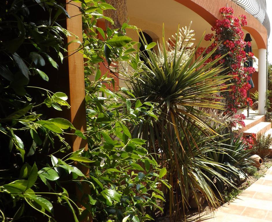 La Gentoliere Bed and Breakfast Pollestres Exterior foto